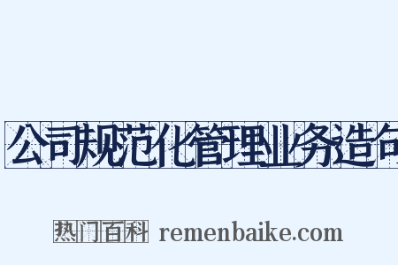 公司规范化管理业务造句是什么意思的图片